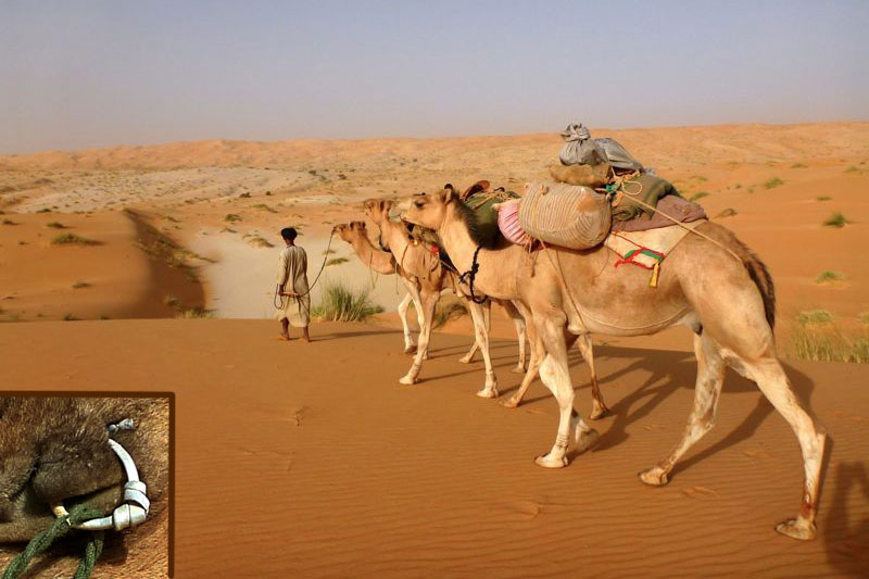 Mauritania